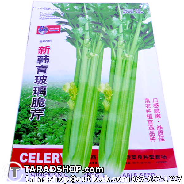 ???????? ???????? (???????)????????