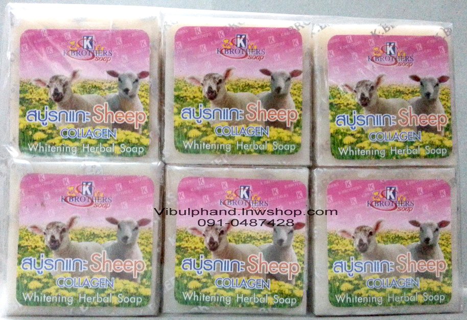 ?????????Sheep Collagen[1???? 12????]????????